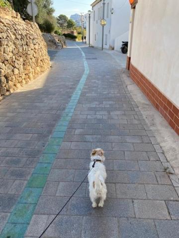 ALTEA BEACHGATE - Acceso Privado a la PLAYA Exterior foto